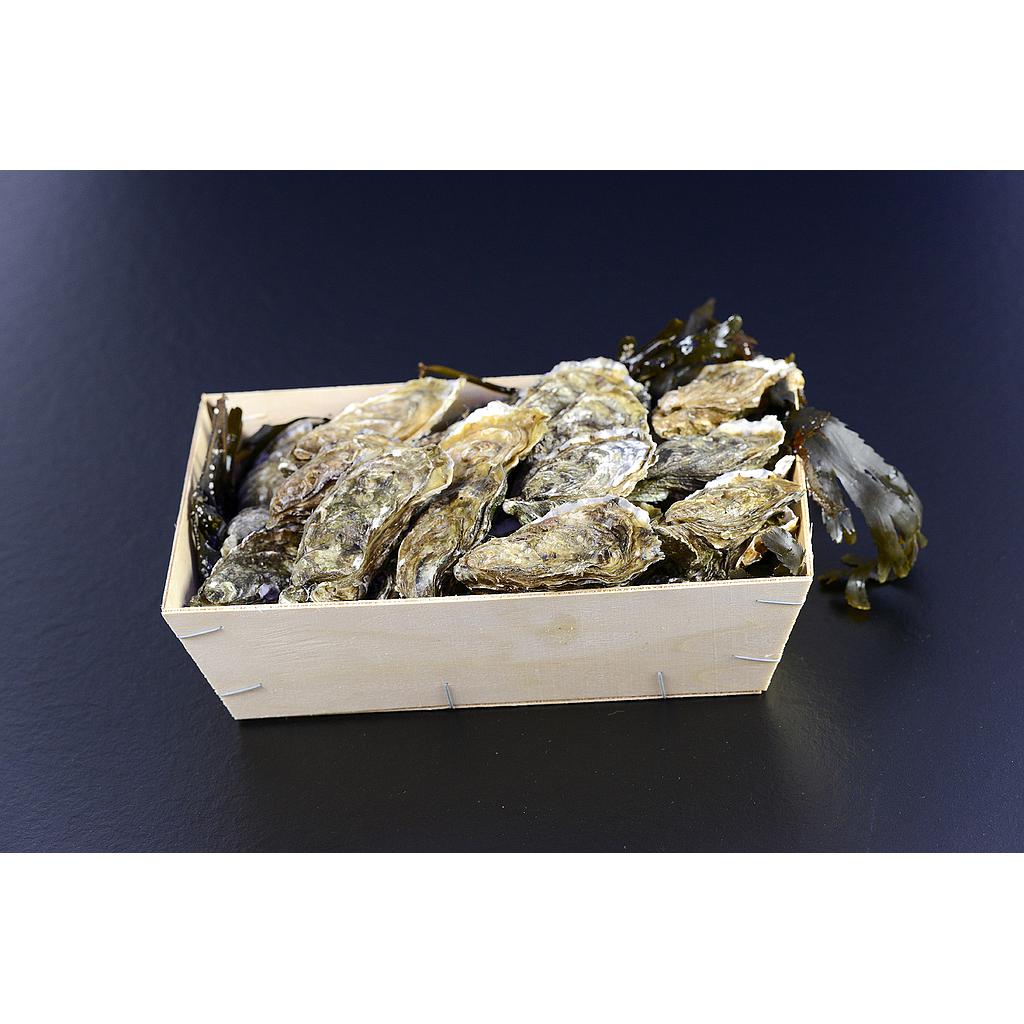 Bourriche d'huîtres bio - 24pcs