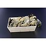 Bourriche d'huîtres bio - 24pcs